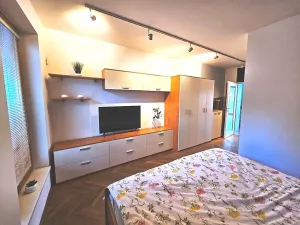 Prodej bytu 2+kk, Praha - Záběhlice, Nad Meandry, 52 m2