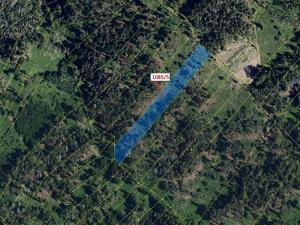 Dražba lesa, Veverské Knínice, 3926 m2