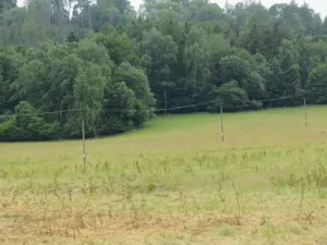 Dražba louky, Tašov, 71789 m2