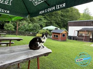 Prodej chalupy, Ludvíkov, 510 m2