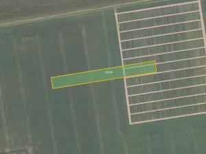 Prodej pole, Majetín, 11657 m2