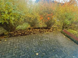 Pronájem bytu 3+kk, Slavičín, Jar. Šály, 90 m2