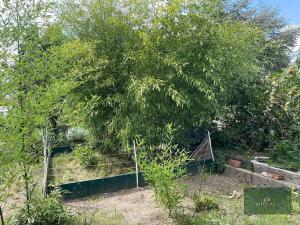 Prodej zahrady, Plzeň, Sluneční, 359 m2