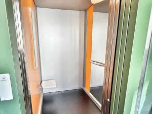 Prodej bytu 3+kk, Praha - Libeň, Budilova, 70 m2