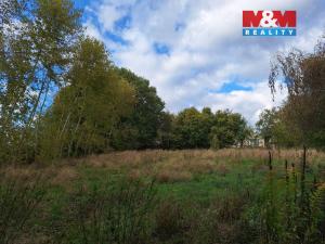 Prodej zemědělské usedlosti, Dolní Pohleď, 210 m2