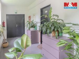 Prodej bytu 2+kk, Všemina, 47 m2