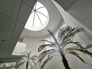 Pronájem výrobních prostor, Brno, Franzova, 785 m2