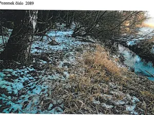 Prodej lesa, Tis, 906 m2