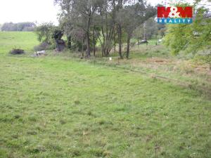 Prodej louky, Janův Důl, 2749 m2