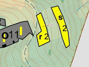 Dražba lesa, Valašská Senice, 1662 m2