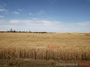 Prodej pole, Blanné, 24000 m2