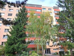 Pronájem bytu 3+1, Brno, Ečerova, 75 m2