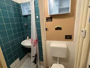 Pronájem bytu 1+kk, Brno, Halasovo náměstí, 24 m2