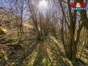 Prodej pozemku, Jílové u Prahy - Luka pod Medníkem, 1161 m2