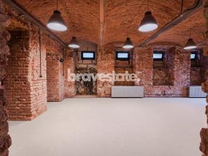 Prodej bytu, Praha - Karlín, Pernerova, 335 m2