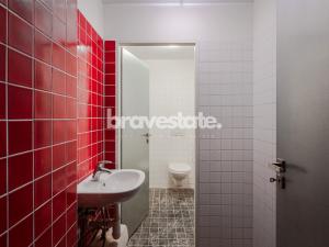 Prodej bytu, Praha - Karlín, Pernerova, 335 m2