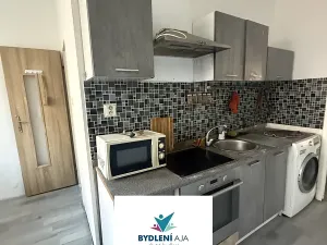 Pronájem bytu 3+1, Krupka, Karla Čapka, 79 m2