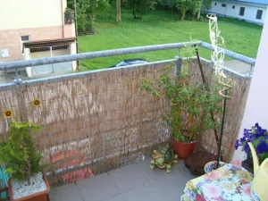 Prodej bytu 2+kk, Nový Bydžov, Julia Fučíka, 60 m2