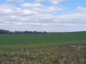 Dražba zahrady, Plzeň, 7558 m2