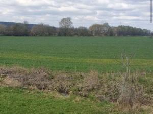 Dražba zahrady, Plzeň, 7558 m2