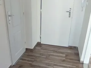 Pronájem bytu 1+1, Ostrava, Ahepjukova, 37 m2