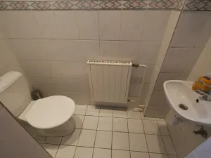 Pronájem obchodního prostoru, Uherský Brod, 110 m2