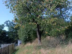 Prodej zahrady, Bojkovice, 1208 m2