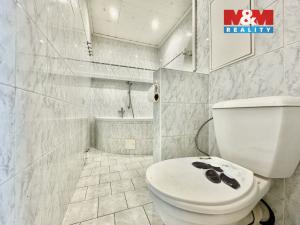 Pronájem bytu 2+1, Chomutov, Palackého, 60 m2