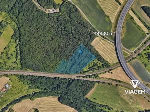 Prodej lesa, Spořice, 19930 m2