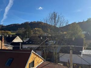 Prodej vícegeneračního domu, Boskovice, Bělská, 185 m2