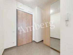 Pronájem bytu 2+kk, Praha - Žižkov, Olgy Havlové, 54 m2