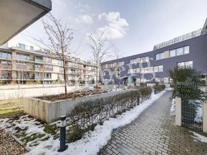 Pronájem bytu 2+kk, Praha - Žižkov, Olgy Havlové, 54 m2