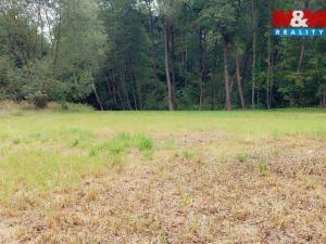 Prodej louky, Bystřice, 1741 m2