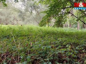 Prodej louky, Bystřice, 682 m2