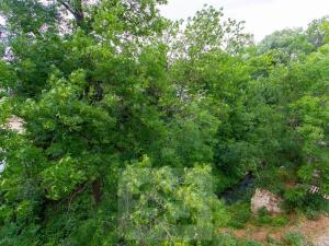 Pronájem bytu 1+kk, Tuchoměřice, V Kněžívce, 25 m2