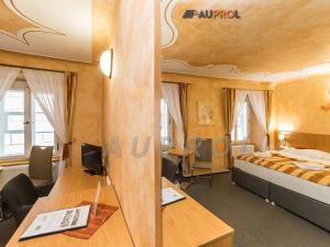 Prodej ubytování, Český Krumlov - Vnitřní Město, Široká, 400 m2