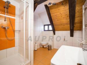 Prodej ubytování, Český Krumlov - Vnitřní Město, Široká, 400 m2