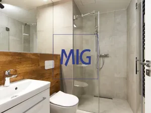 Pronájem bytu 2+kk, Brno, Cejl, 35 m2