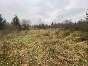 Dražba pozemku, Potěhy, 1589 m2