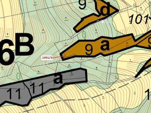 Dražba lesa, Hovězí, 115 m2