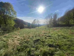 Dražba louky, Zdislava, 1384 m2