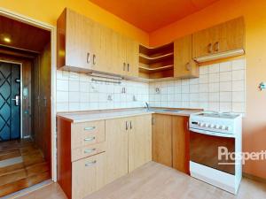 Prodej bytu 1+1, Ústí nad Labem - Krásné Březno, Rozcestí, 41 m2