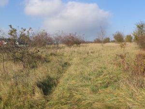 Prodej zahrady, Otrokovice, 503 m2