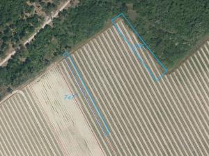 Prodej pozemku, Znojmo - Konice, 2437 m2