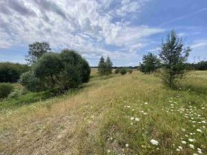 Prodej pozemku, Rapšach - Nová Ves u Klikova, 6986 m2