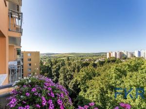 Prodej bytu 2+kk, Brno, Arménská, 53 m2