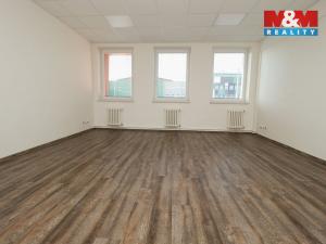 Pronájem kanceláře, Opava - Předměstí, Těšínská, 30 m2