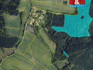 Prodej lesa, Městečko Trnávka - Stará Roveň, 81768 m2