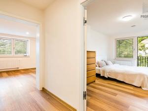 Prodej kanceláře, Brno, Obecní, 287 m2