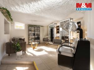 Prodej obchodního prostoru, Liberec - Liberec IV-Perštýn, Na Perštýně, 53 m2